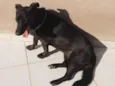 Kiara