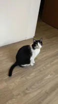 Frida