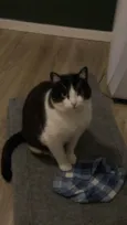 Frida