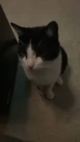 Frida