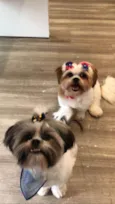 Chica e Zé