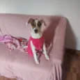 Maya