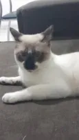 Jack