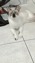 Jack