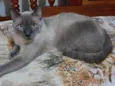 Léo