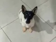 Mili