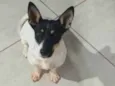 Mili