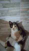 jandira