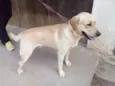 Sem identificação