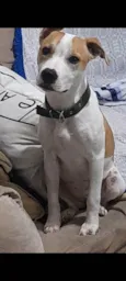 Fiona
