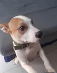 Fiona