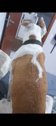 Fiona