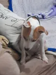 Fiona