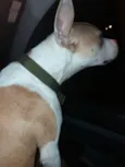 Fiona