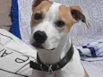 Fiona