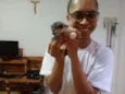 Filhotes de Gata
