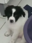 Raio