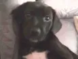 Malhadinho