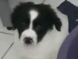 Raio