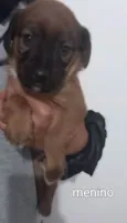 Bili