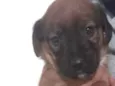 Bili
