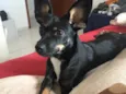Yuki