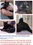 Veludo