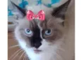 Nina 