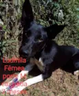 Ludmila