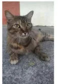 JULLY