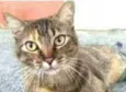 JULLY