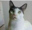 JOHN