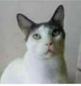 JOHN