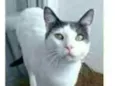 JOHN