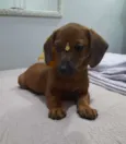 Céu, lua e sol