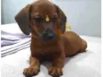 Céu, lua e sol