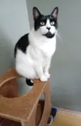 Filó