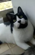 Filó