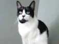 Filó