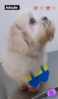 Tito
