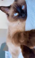 Nicky