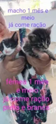 Menina e Menino