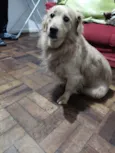 Milly