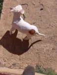 Em busca de amor