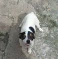 Em busca de amor