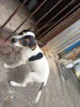 Em busca de amor