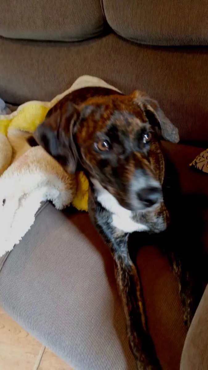 Molly 10meses porteP