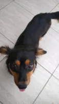 Meg