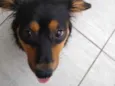 Meg