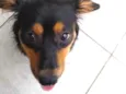 Meg